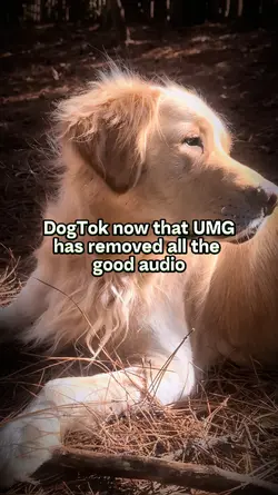 UMG Music Crickets