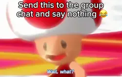 Mushroom Toad Cloud