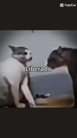 te publiquei flor