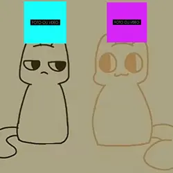 Trend Gatinhos