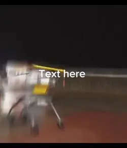 Shopping cart