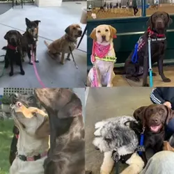 Our little group