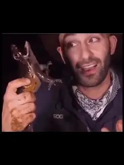 froggo.