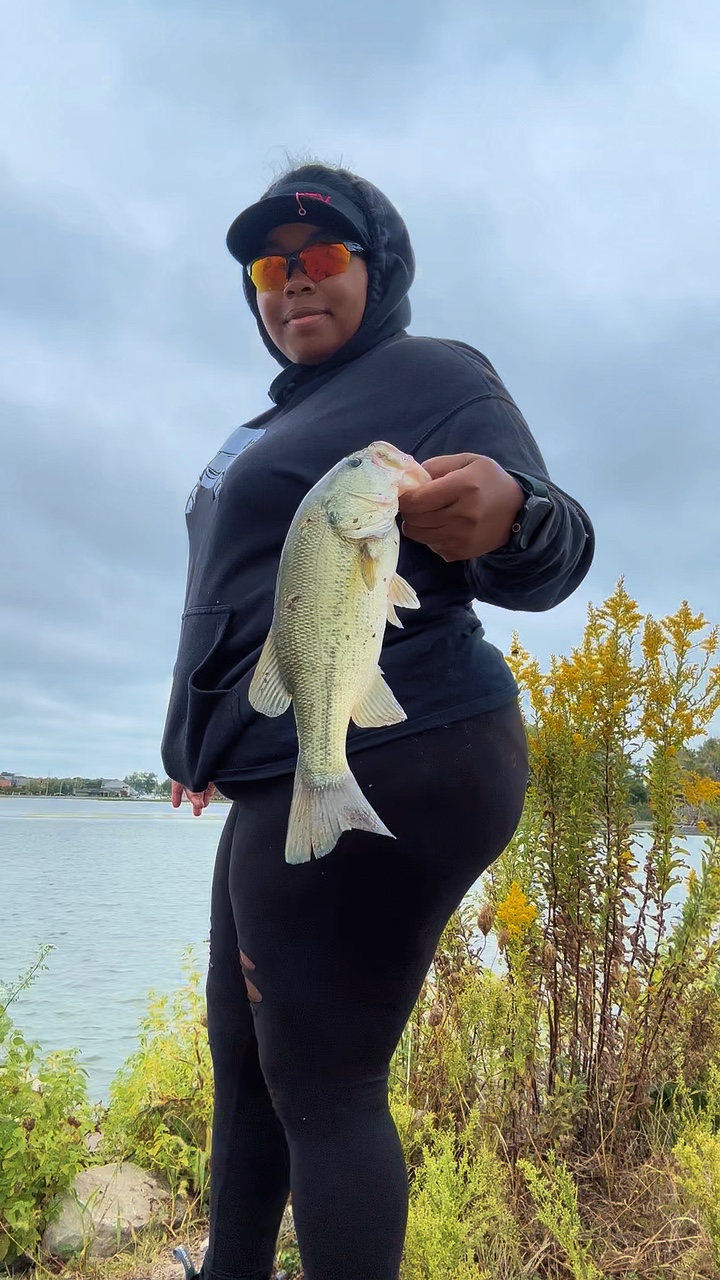 Fish Compilation 