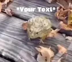 Toad Laugh Meme