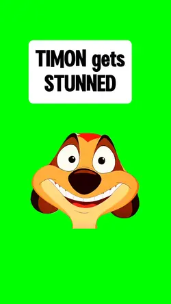 TIMON GETS STUNNED