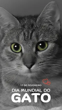 Dia do Gato