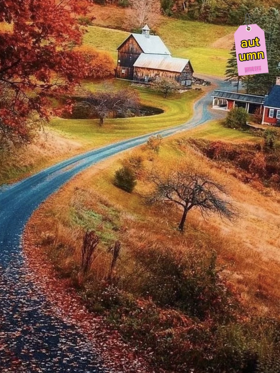 autumn scene/sight/v