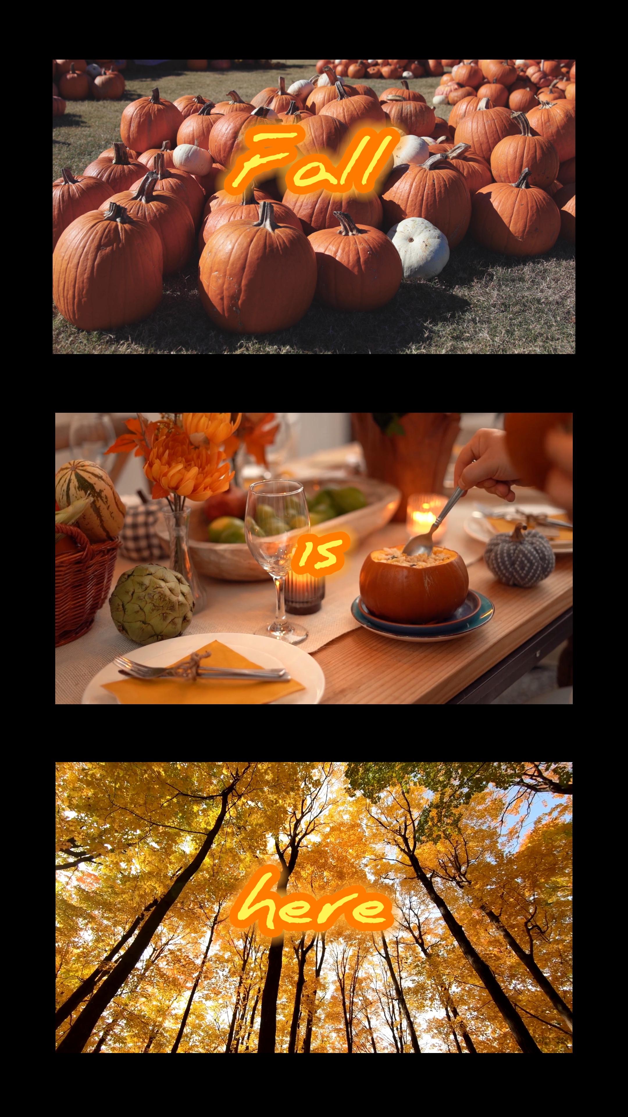 L'automne est là