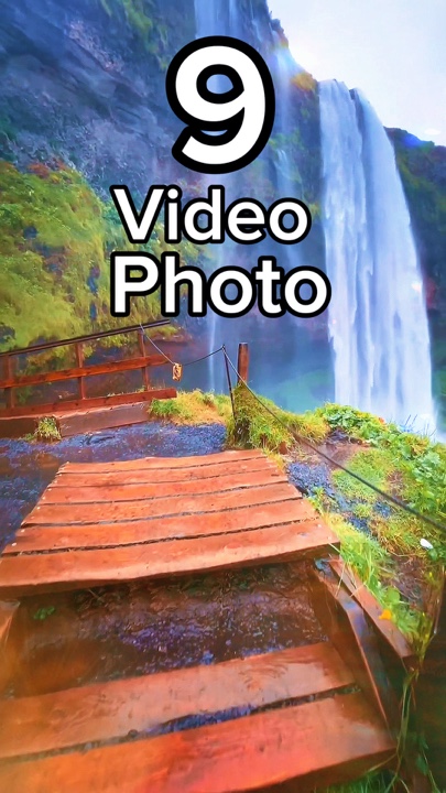 9 clip or photo 