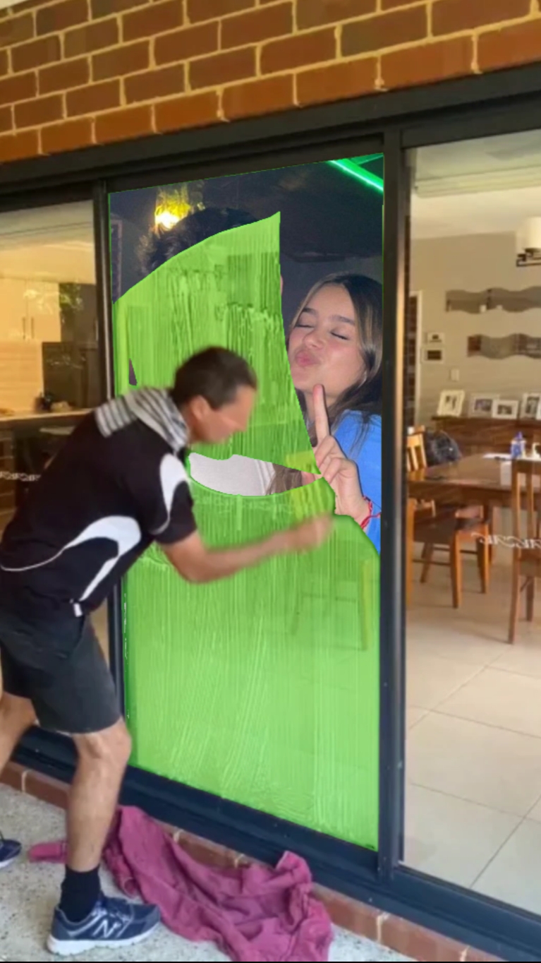 Window Washer 