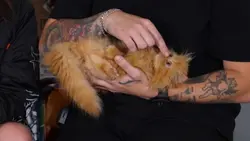 .
