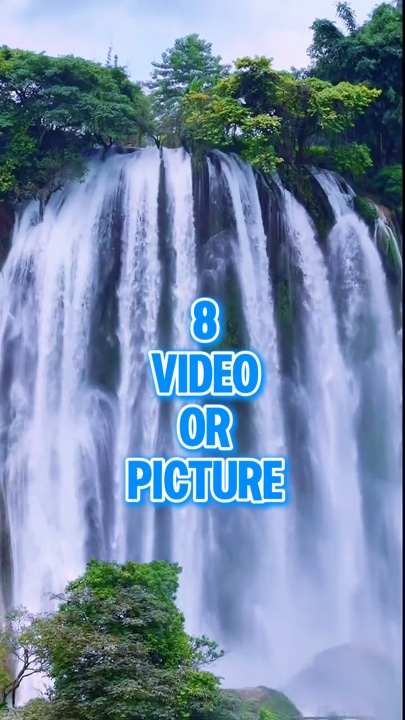 8 video or picture 