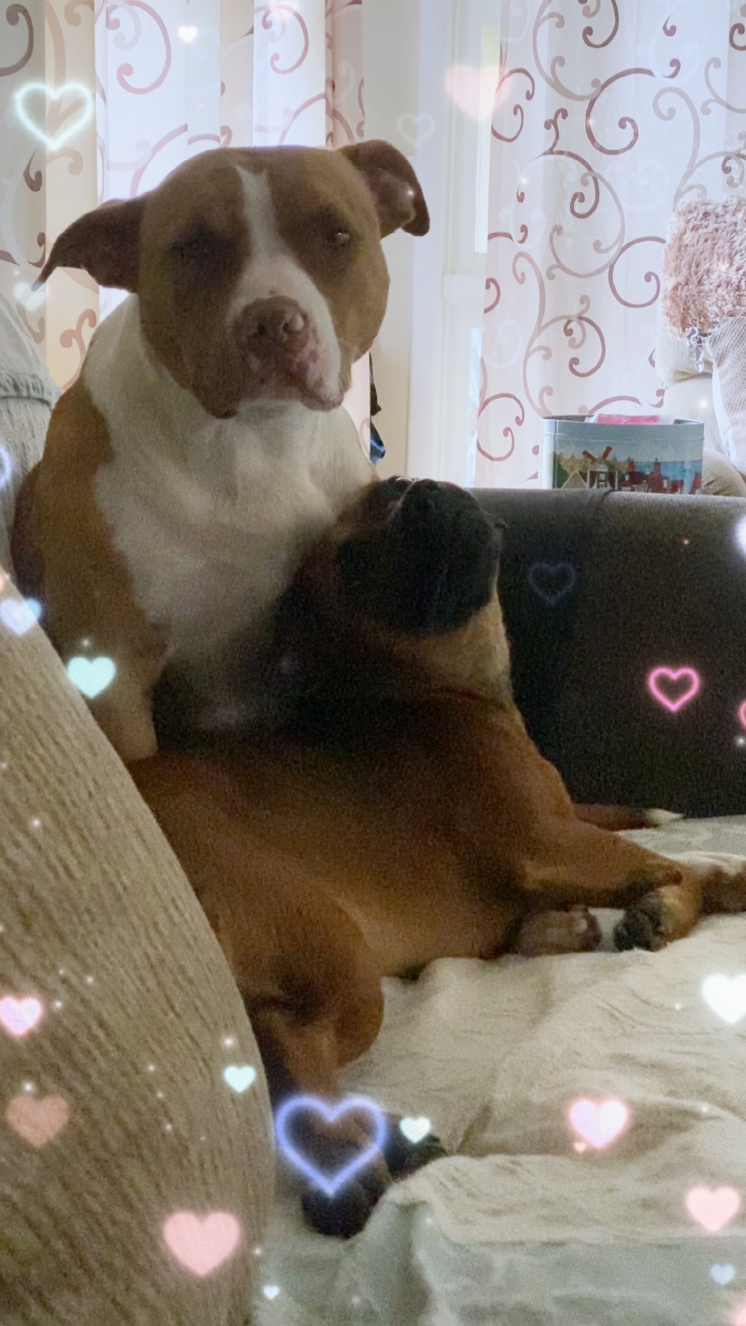 Quédate conmigo para siempre❤️