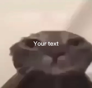 Miau triste