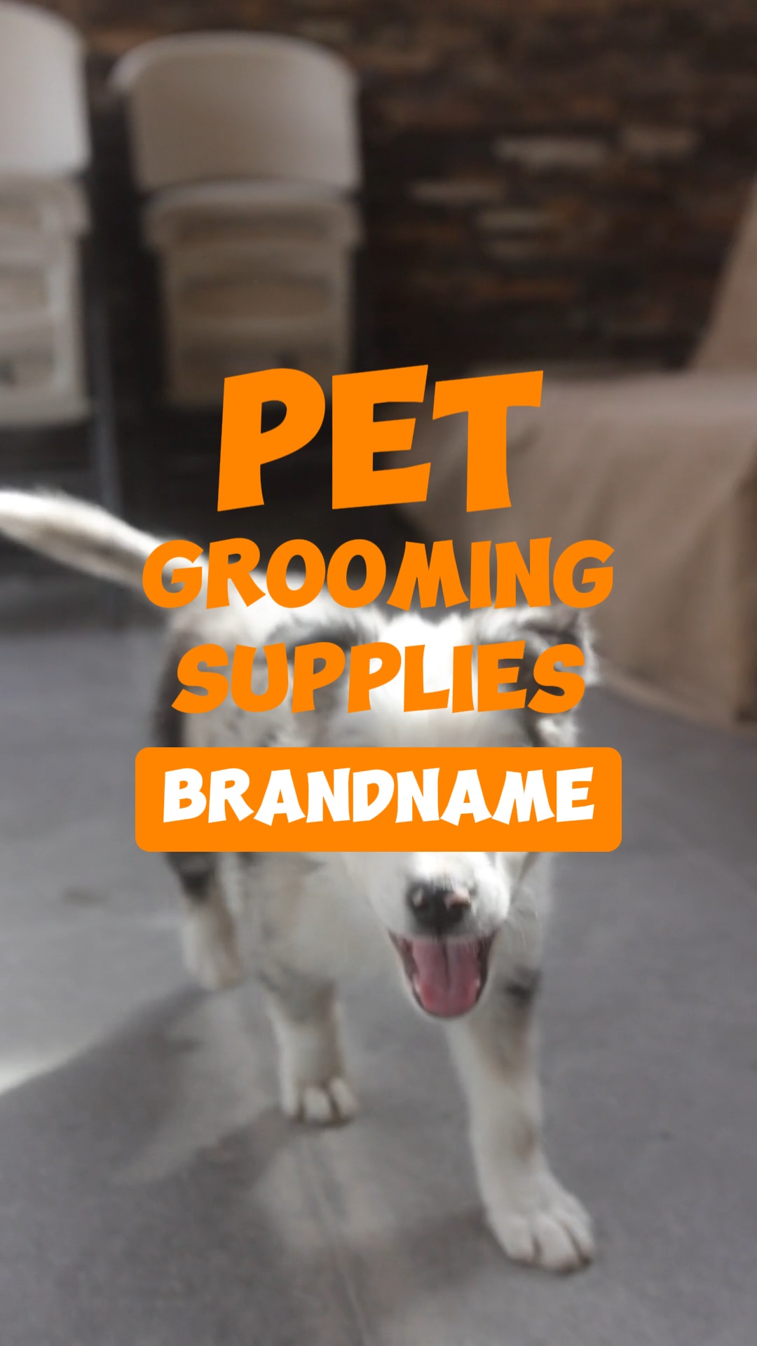 Cute and Fun Style Pets Essentials Sale Promotion Template