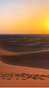 Camel ride Dubai