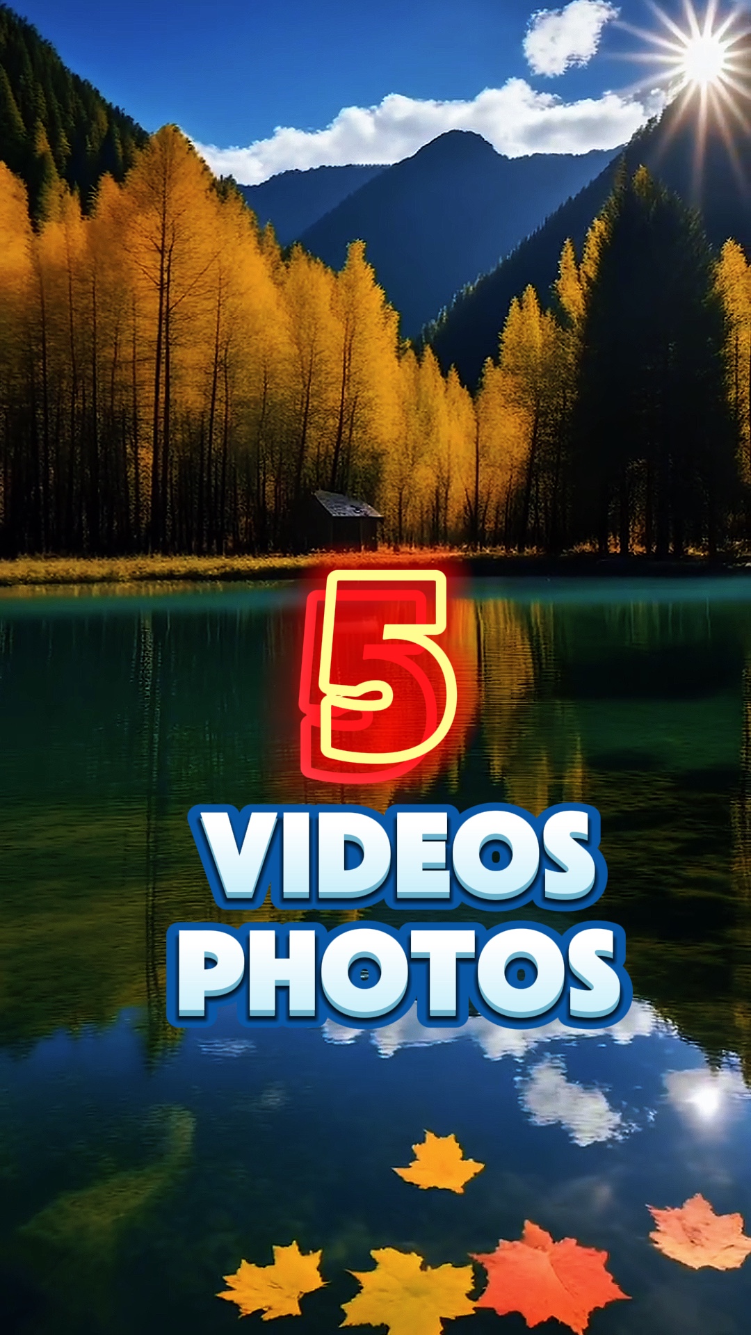 5 videos o photos 