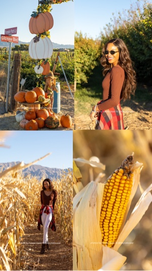 Hola Otoño 🍂 