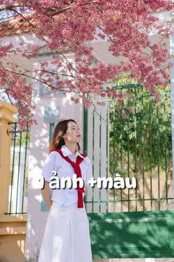 Nhạc Nhật