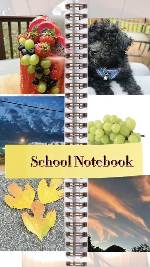 School Notebook 