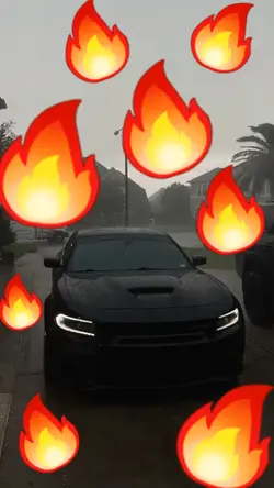 Beast_in_the_rain