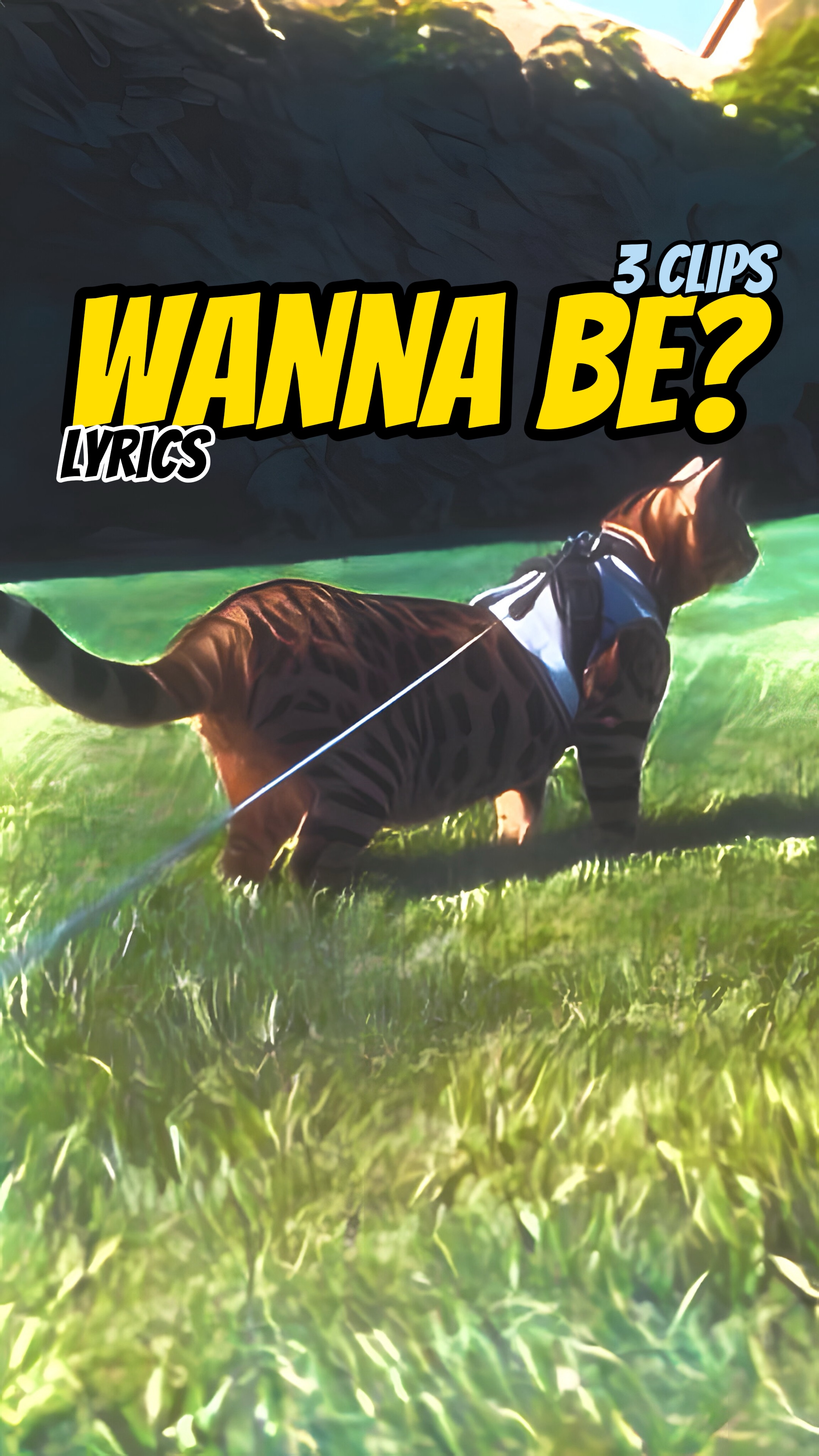 Wanna be? 