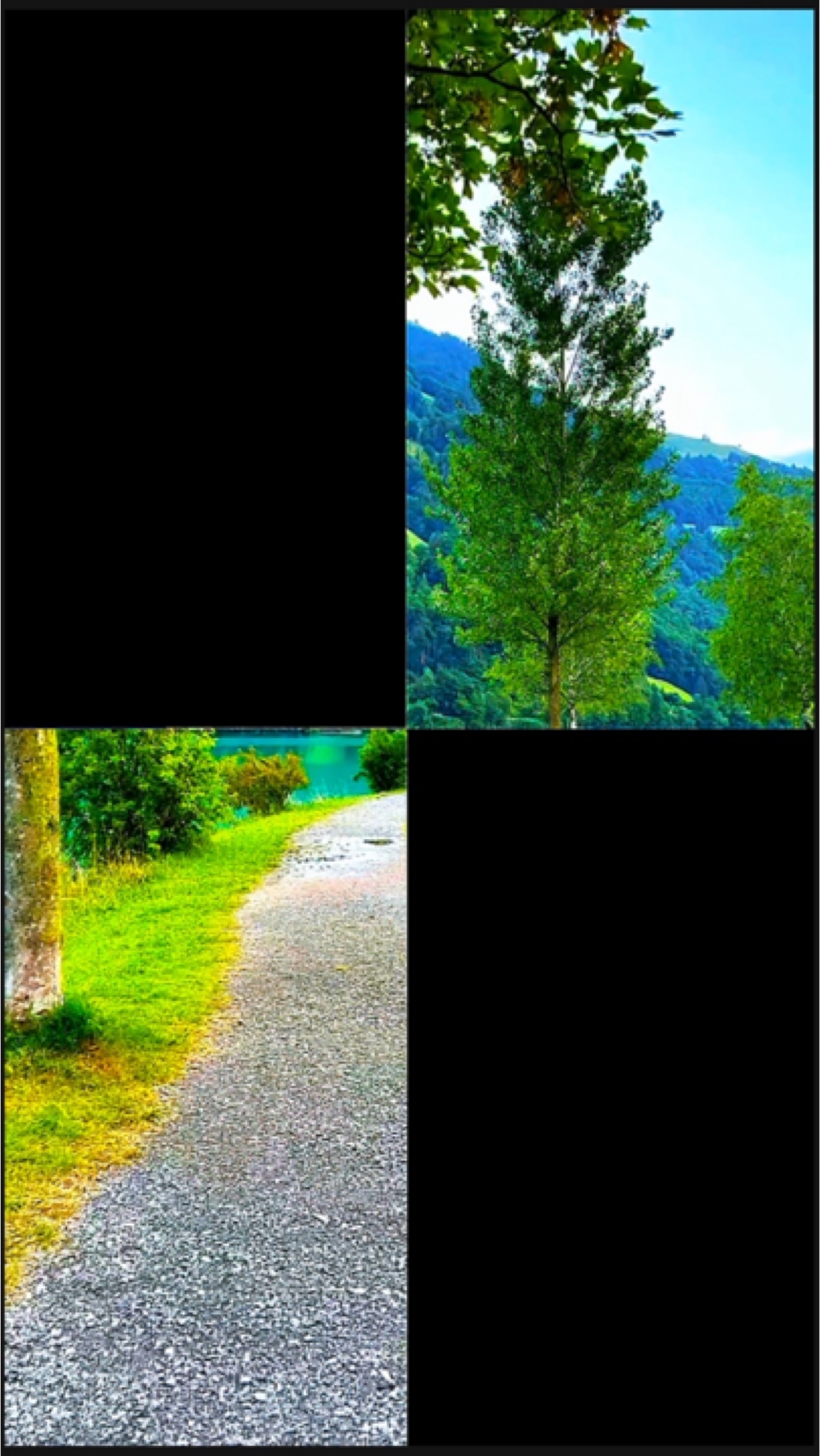 6个剪辑或照片 
