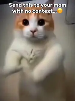 Chipi Chipi Chapa