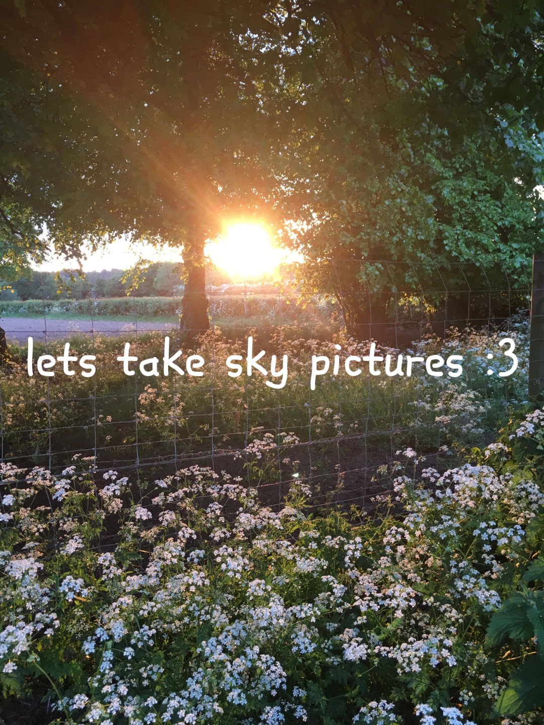 sky pictures :3