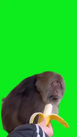 Xing Xing