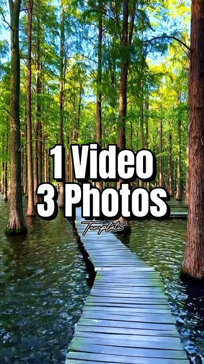 1 vidéo 3 photos 