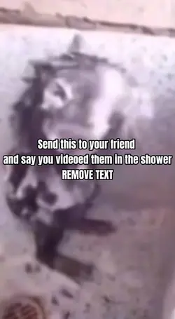Hehe