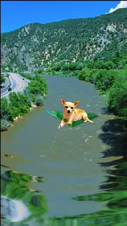 Floating in Nature
