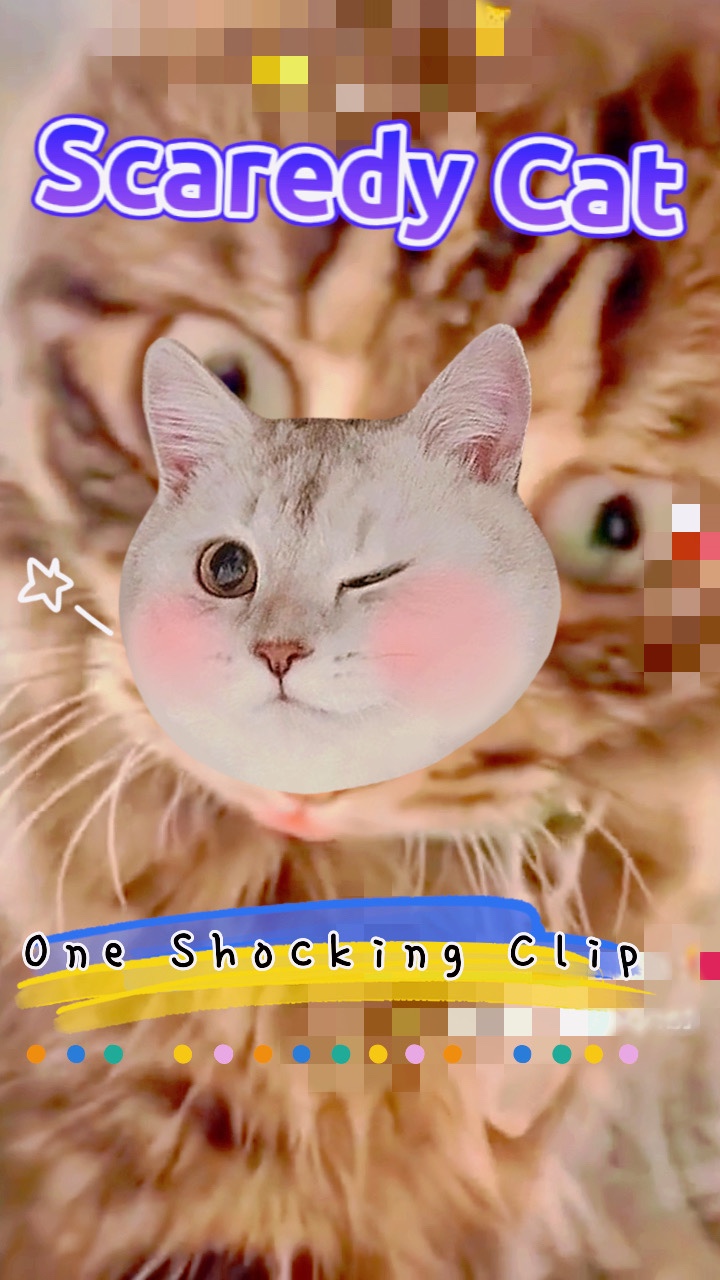 🐱무서운 고양이 🐱