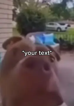 Doorbell dog