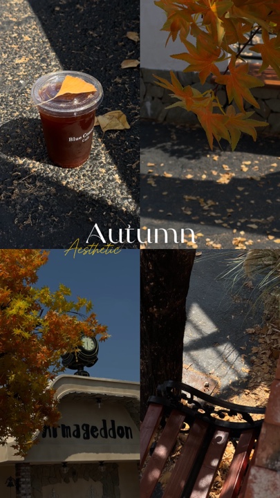Autumn recently