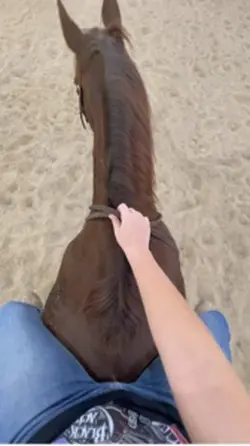 Cowboy Casanova 🤠