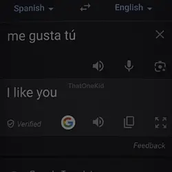 Me gusta tú