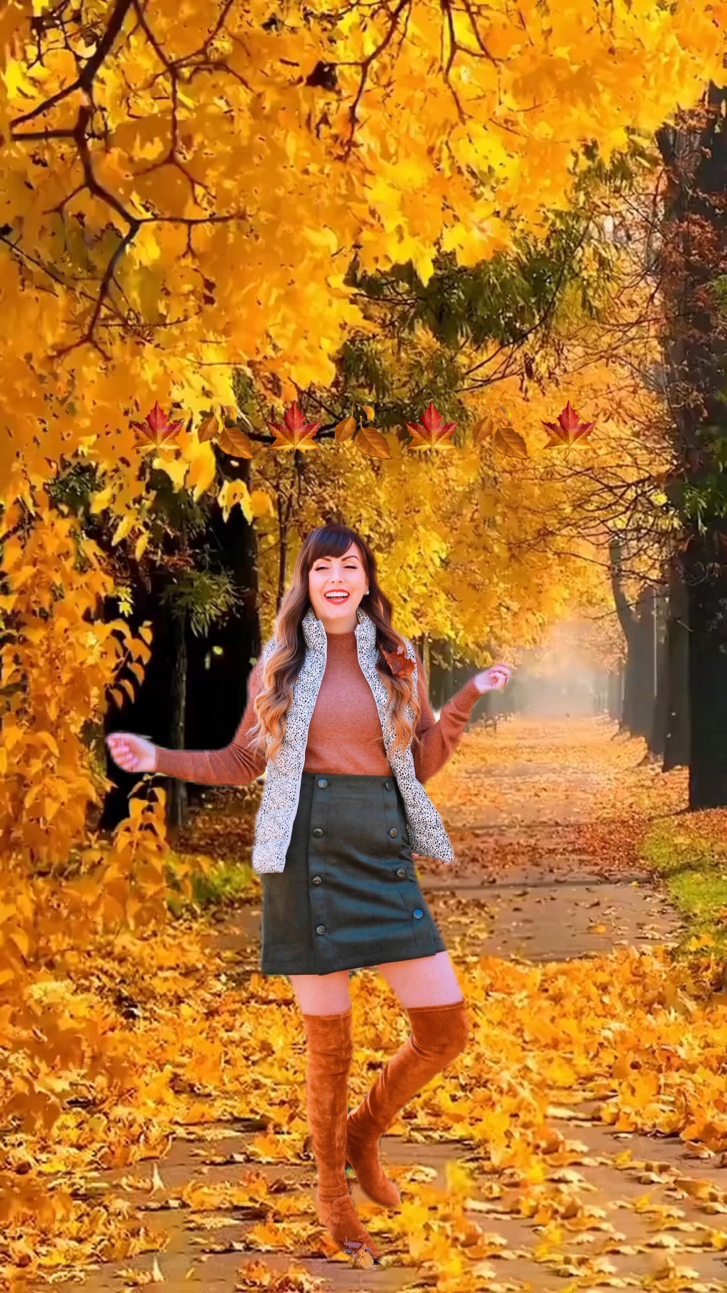 🍁🍂