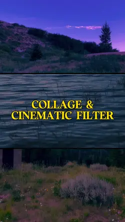3 Clip Collage