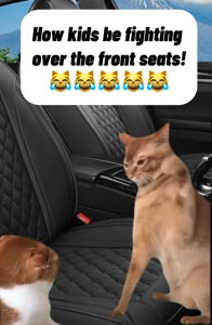 Dos Gatos / Peleando🤣