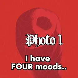 I have 4 moods..