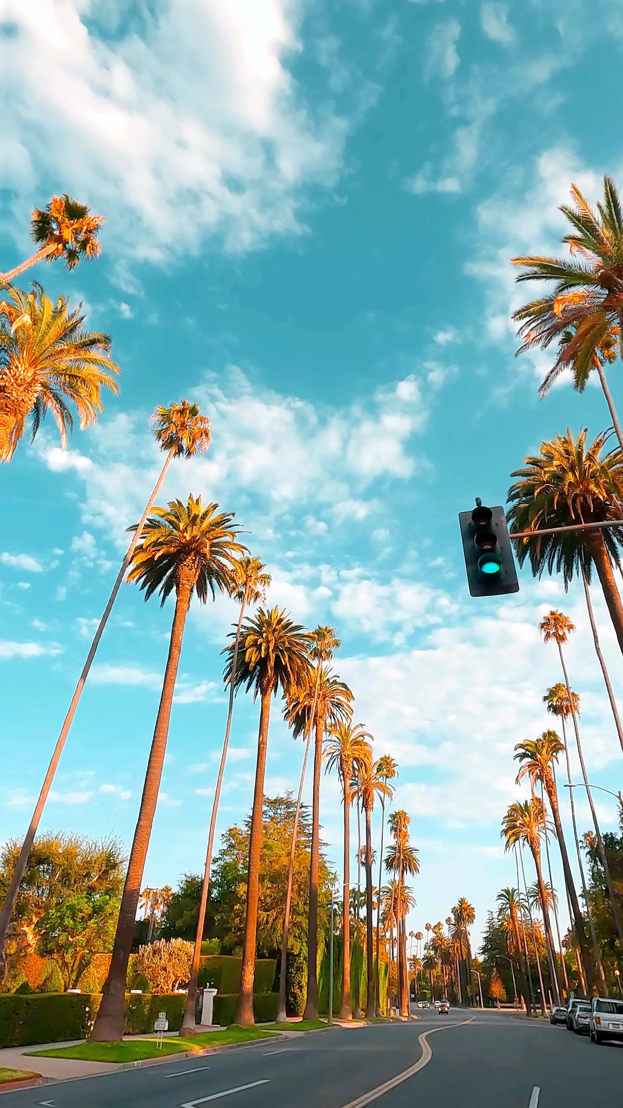 CALIFORNIA VIBE 