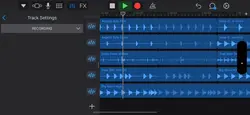 VeeNamic Music Track