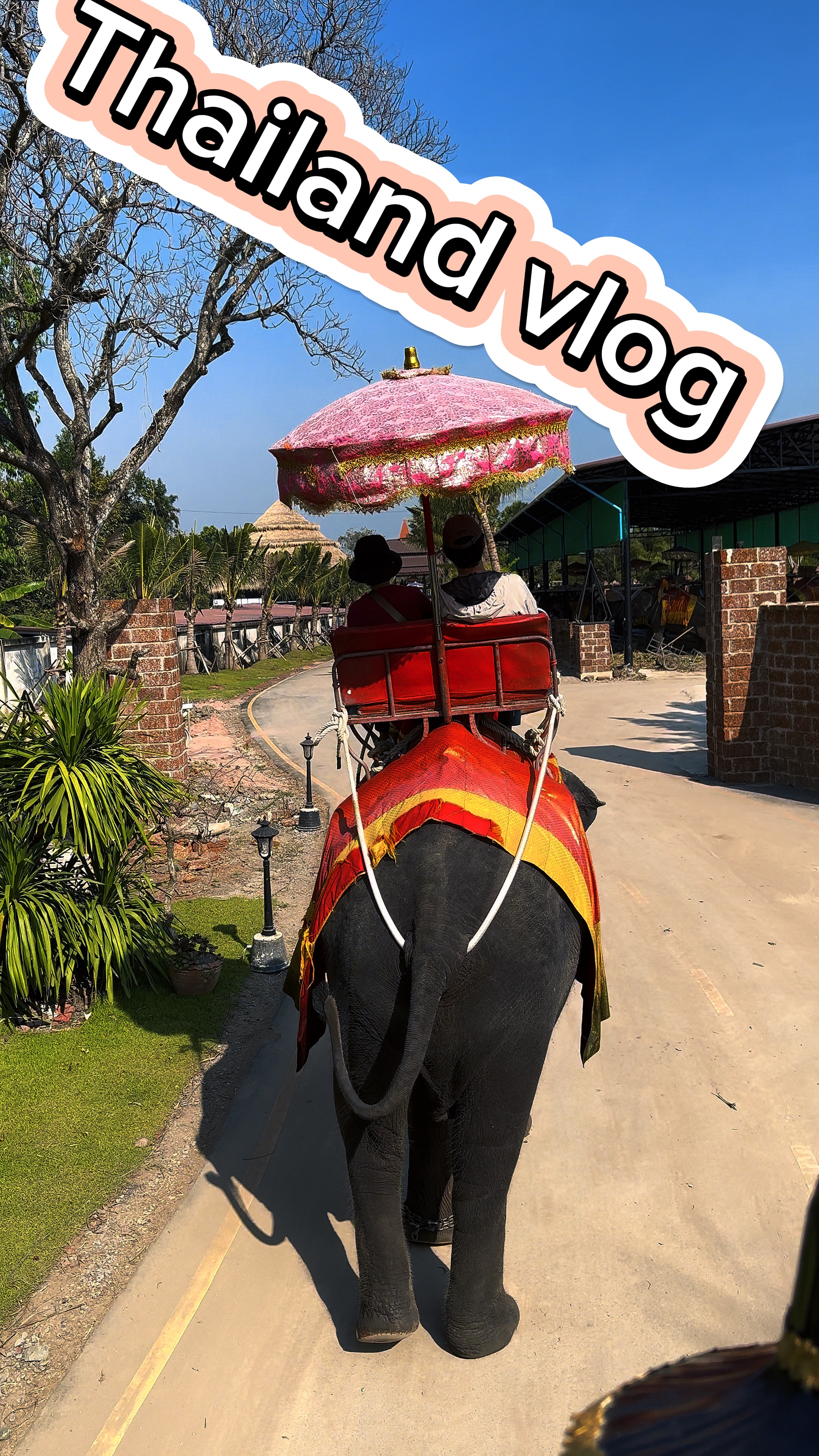 1 or up to 25 pics 