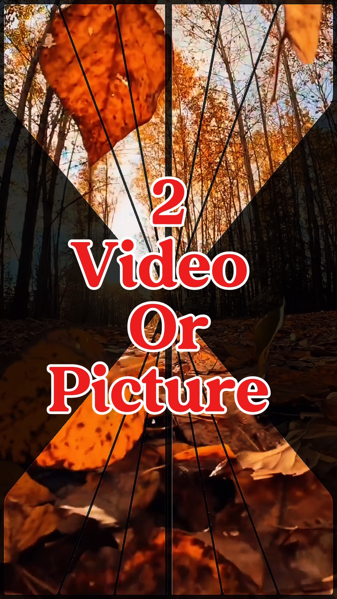 2 video veya resim 