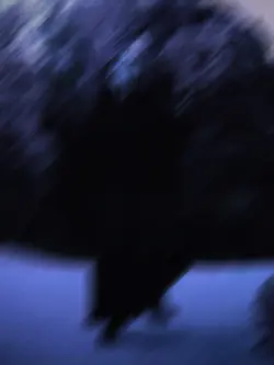 Scream Spam-shakes 