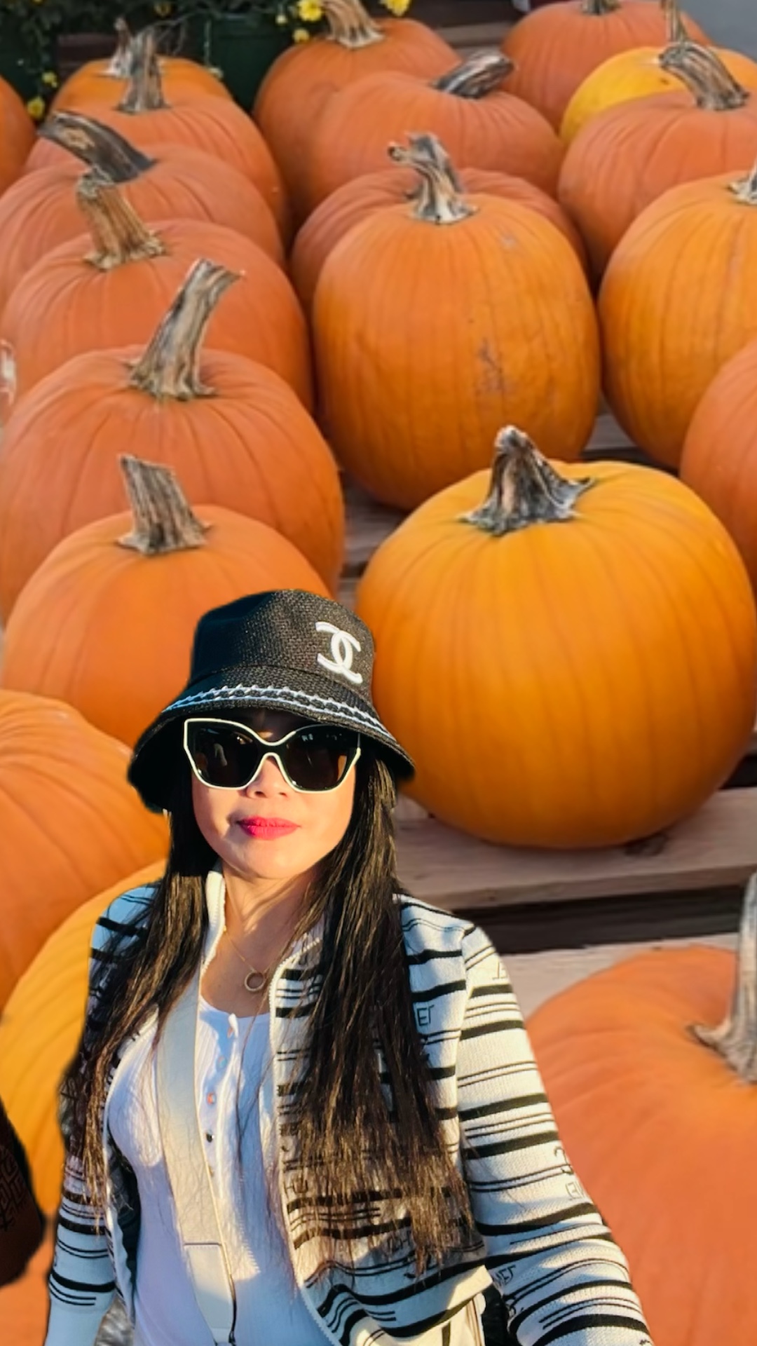 Parche de calabaza