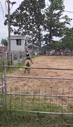 Pole run July 20th